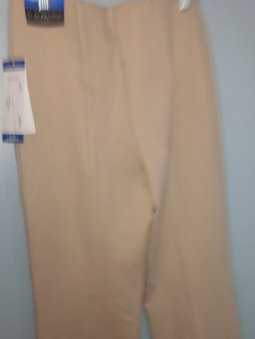 Tan Women's Dress Pants - Straight Leg
